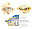 Milton Crisp Casserole 2500 ML, Insulated Plastic, Kitchen Hot Food