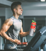 MILTON Miton Promix 800 Unisteel Protein Shaker Stainless Steel Gym Bottle 