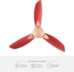 Usha Bloom Primrose 1250 mm 3 Blade Ceiling Fan  (Sparkle Golden, Cherry, Pack of 1)