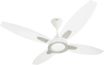 Usha BLOOM LILY 1300 mm 4 Blade Ceiling Fan (Sparkle White and Silver, Pack of 1)
