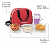 Picture of Signoraware Sling Glass 4 Containers Lunch Box  960 ml