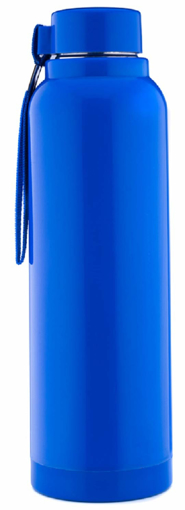 Signoraware Insulated Stainless Steel Bottle with Outer Plastic 700ml Blue की तस्वीर