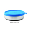 Picture of Signoraware Executive steel r  200 ml Steel Fridge Container Blue