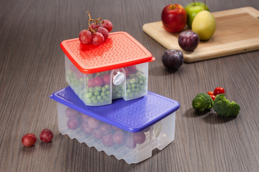 Picture of Signoraware Fridge Fresh Tab Plastic Container 1 Litre Violet