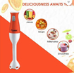 Picture of Prestige PHB 11.0 250 W Hand Blender  (Orange)