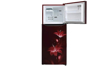 Picture of LG 242 L Frost Free Double Door 2 Star Refrigerator  (Ruby Regal, GL-N292RRRY)