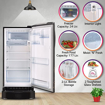 Picture of LG 204 L Direct Cool Single Door 4 Star Refrigerator with Base Drawer with Mi-com  (Ebony Regal, GL-D211CERY)