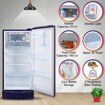 Picture of LG 215 L Direct Cool Single Door 3 Star Refrigerator with Base Drawer  (Blue Quartz, GL-D221ABQD)