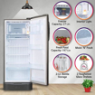 Picture of LG 224 L Direct Cool Single Door 5 Star Refrigerator with Base Drawer  (Shiny Steel, GL-D241APZZ)