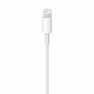 Apple Original Lightning to USB Cable 1m की तस्वीर