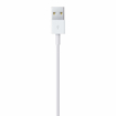 Picture of Apple Original Lightning to USB Cable 1m