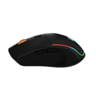 Portronics Toad One Wireless 2.4GHz & Bluetooth Connectivity Optical Mouse with 7 Colors RGB Lights, Rechargeable Battery(Black) की तस्वीर