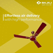 Picture of BAJAJ Grace Neo BBD 1200mm Crimson Velvet CF 1200 mm Energy Saving 3 Blade Ceiling Fan  (Crimson Velvet)