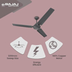 Picture of BAJAJ CLASSICO 12S1 1 Star 1200 mm 3 Blade Ceiling Fan  (Coal Mine Grey, Pack of 1)