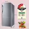 Picture of SAMSUNG 183 L Direct Cool Single Door 3 Star Refrigerator  (Camellia Purple, RR20C1723CR/HL)