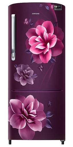 Picture of Samsung 223L 3 Star Inverter Direct-Cool Single Door Refrigerator (RR24C2723CR/NL,Camellia Purple) 2023 Model