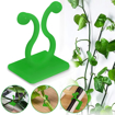 Picture of [HJ052] 30 Pcs Plant Climbing Fixing Clip Large Size