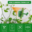 Picture of [HJ052] 30 Pcs Plant Climbing Fixing Clip Large Size