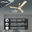 Picture of Bajaj Crescent 12S1 1200mm Ivory and Gold Ceiling Fan