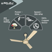 Picture of Bajaj Crescent 12S1 1200mm Ivory and Gold Ceiling Fan