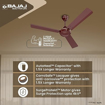 Picture of Bajaj Robusta 12S1 1200mm Base Brown Ceiling Fan