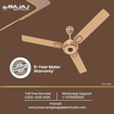 Picture of Bajaj Energon Prime 1200mm Amber Gold Celing Fan