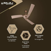 Picture of Bajaj Euro Prime EE 1200mm Brown & Bronze Ceiling Fan