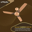 Picture of Bajaj Harrier NXG EE 1200 mm Gold & Copper Ceiling Fan