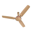 Bajaj Sintelle EE 1200mm Gold & Ruby Copper Ceiling Fan की तस्वीर