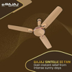 Bajaj Sintelle EE 1200mm Gold & Ruby Copper Ceiling Fan की तस्वीर