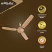 Bajaj Sintelle EE 1200mm Gold & Ruby Copper Ceiling Fan की तस्वीर