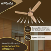 Bajaj Sintelle EE 1200mm Gold & Ruby Copper Ceiling Fan की तस्वीर