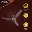 Picture of Bajaj Sintelle EE 1200mm Walnut & Copper Ceiling Fan