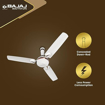 Picture of Bajaj Sintelle EE 1200mm White &Ruby Copper Ceiling Fan