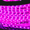 Picture of LED Strip Rope Light Waterproof Roll  Pink