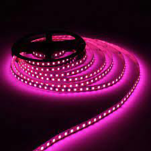 Picture of 12v 5mm 2835 120 Led Strip Light Ip20 5mm Roll Pink Bing Light