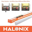 Picture of Halonix Streak Squar 5-Watt LED Batten (Pack of 2, Cool White, Square)