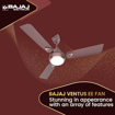 Picture of Bajaj Ventus EE 1200mm Chocolate Brown Ceiling Fan