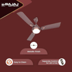 Picture of Bajaj Ventus EE 1200mm Chocolate Brown Ceiling Fan