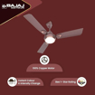 Bajaj Ventus EE 1200mm Chocolate Brown Ceiling Fan की तस्वीर