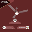 Picture of Bajaj Ventus EE 1200mm Chocolate Brown Ceiling Fan