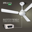 Picture of Havells 1200mm Efficiencia Prime BLDC Motor Ceiling Fan | 5 Star with Remote, 100% Copper | Upto 53% Energy Saving, High Air Delivery, 2 Year Warranty, Inverter Friendly, Timer | (Efficiencia Prime BLDC(900 mm/1050 mm /1200 mm ))