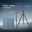 Picture of DIGITEK® (DTR 520 BH) 152CM Foldable Aluminum Tripod Cum Monopod with Swivel Pan Head, 4 Section Adjustment, 7kg Max Load, Max Operating Height: 4.95Ft, Compatible with DSLR Camera, Dv Video Camcorder (DV- Tripods, DTR 520 BH)