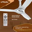 Bajaj Arioso Luxe 1200mm (48") BLDC Ceiling Fans for Home| BEE 5 stars Rated Energy Efficient Ceiling Fan| Aerodynamically Designed Blades| Adjustable Canopy| RF Remote| 2-Yr Warranty| White & Silver की तस्वीर