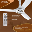 Picture of Bajaj Arioso Luxe 1200mm (48") BLDC Ceiling Fans for Home|BEE 5 stars Rated Energy Efficient Ceiling Fan|Aerodynamically Designed Blades|Adjustable Canopy|RF Remote|2-Yr Warranty|White & Nickel