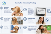 Step-by-step pet microchip working process showing implantation, scanning, ID retrieval, and pet owner reunification